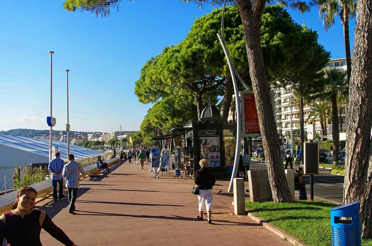 Promenade de la Croisette à Cannes, palmiers et bord de mer
